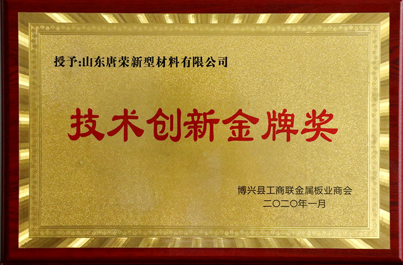 技術創(chuàng)新金牌獎